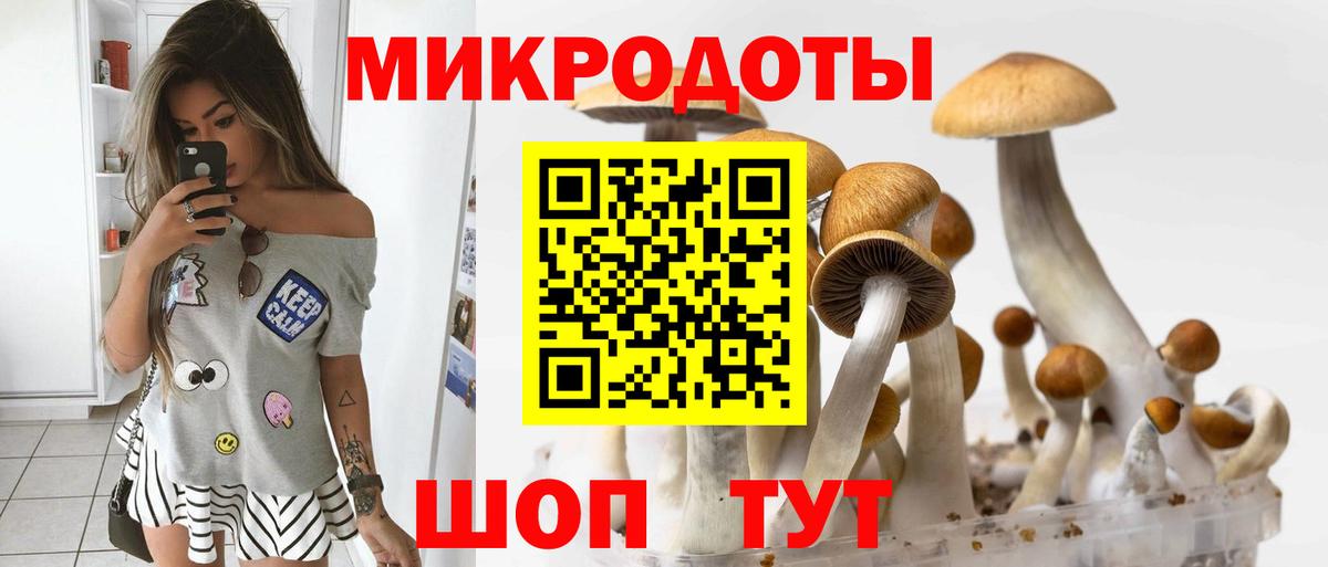 цена наркотик  Галлюциногенные грибы мицелий  Вход с VPN  Заволжье 